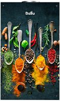 Водонагреватель газовый Ballu GWH 10 Fiery Glass Curry
